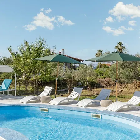 Stork * חניוטי