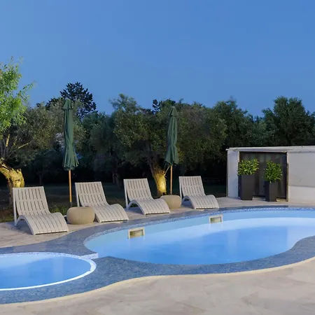 Stork * חניוטי